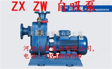 ZW100-100-20自吸泵厂家
