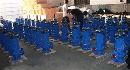 100QW65-15-5.5_  液压潜水排污泵