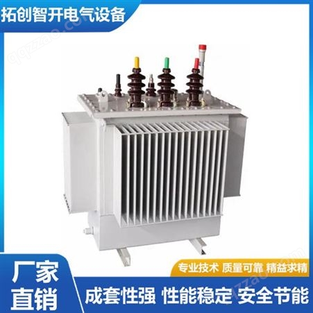 CEEG中电电气S11-M-315KVA/10/0.4 Dyn11全铜油浸式电力变压器