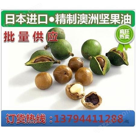 日本横关油脂 精制澳洲坚果油Macadamia Nut Oil有较淡坚果味