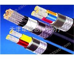 供应控制电缆KVV KVVP KVV22 价格-天津